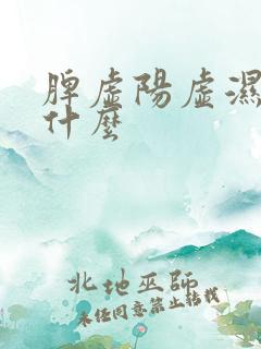 脾虚阳虚湿盛吃什么