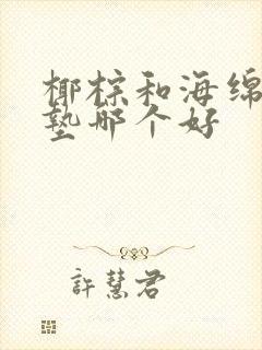 椰棕和海绵沙发垫哪个好