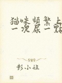 猫咪频繁上厕所一次尿一点