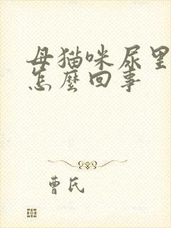 母猫咪尿里有血怎么回事