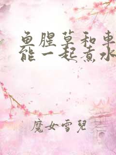 鱼腥草和车前草能一起煮水喝吗