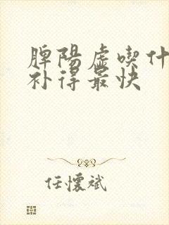 脾阳虚吃什么药补得最快