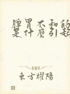 脾胃不和的原因是什么引起的