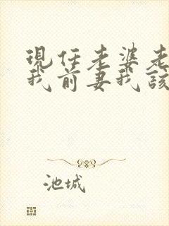 现任老婆老是提我前妻我该怎么办