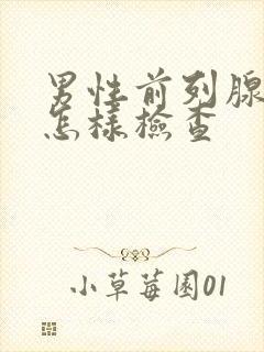 男性前列腺常规怎样检查