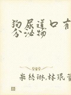 狗尿道口有黄色分泌物