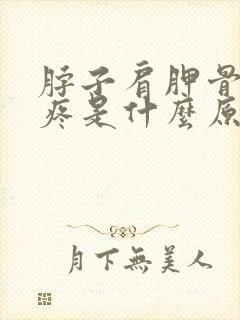 脖子肩胛骨后背疼是什么原因引起的呢