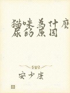 猫咪为什么会闭尿的原因