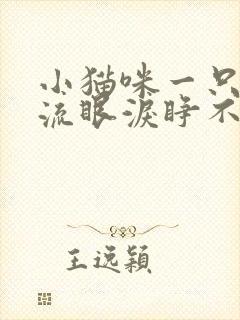 小猫咪一只眼睛流眼泪睁不开