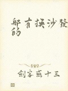 哪有换沙发海绵的