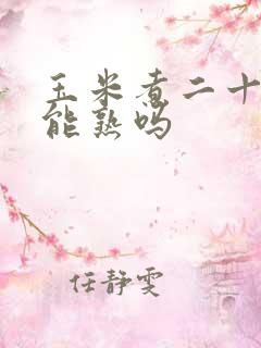 玉米煮二十分钟能熟吗