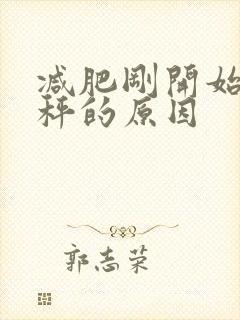 减肥刚开始不掉秤的原因