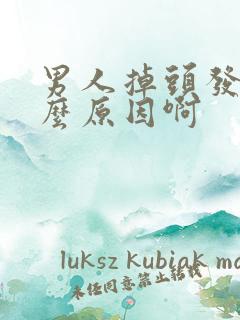 男人掉头发是什么原因啊