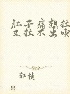 肚子痛想拉大便又拉不出吃什么药