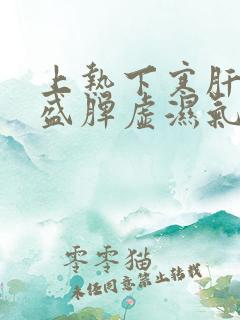 上热下寒肝火旺盛脾虚湿气重吃什么中成药