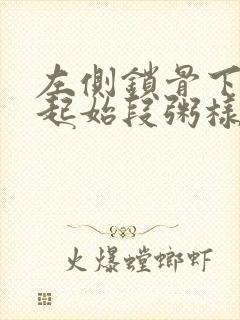 左侧锁骨下动脉起始段粥样斑块