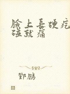 脸上长硬疙瘩一碰就痛