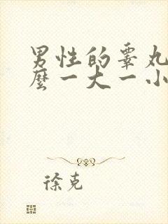 男性的睾丸为什么一大一小