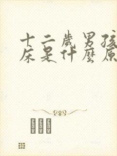 十二岁男孩还尿床是什么原因