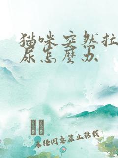 猫咪突然拉不出尿怎么办