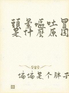 头晕呕吐冒冷汗是什么原因