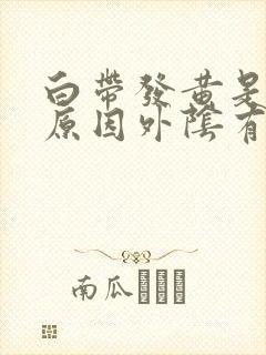 白带发黄是什么原因外阴有点痒