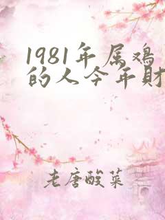 1981年属鸡的人今年财运怎么样