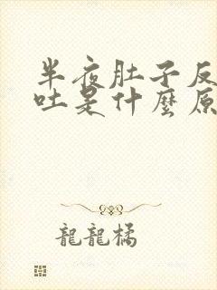 半夜肚子反胃想吐是什么原因