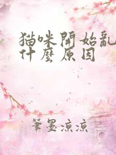 猫咪开始乱尿是什么原因