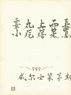 睾丸上面长一个小疙瘩是怎么回事