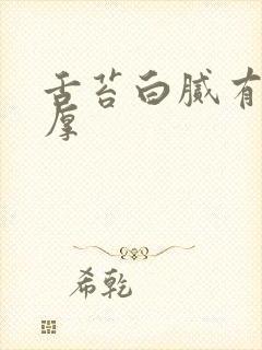 舌苔白腻有齿痕厚