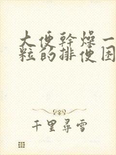 大便干燥一粒一粒的排便困难