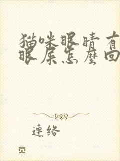 猫咪眼睛有黄色眼屎怎么回事