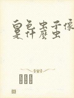 白色虫子像蛆的是什么虫