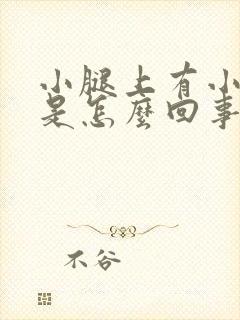 小腿上有小疙瘩是怎么回事