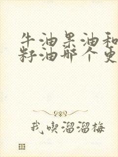 牛油果油和葡萄籽油哪个更好