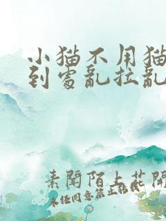 小猫不用猫砂盆到处乱拉乱尿