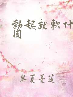 勃起就软什么原因