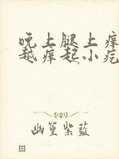 晚上腿上痒越抓越痒起小疙瘩