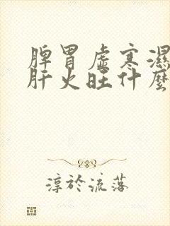 脾胃虚寒湿气重肝火旺什么症状