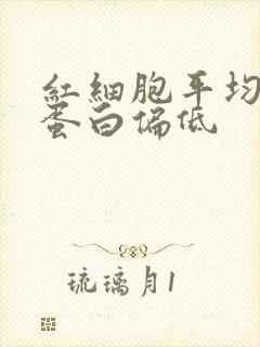 红细胞平均血红蛋白偏低