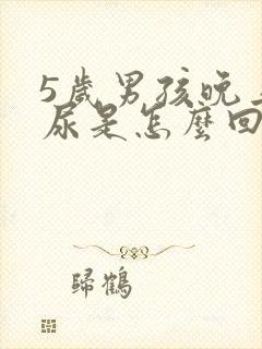 5岁男孩晚上漏尿是怎么回事