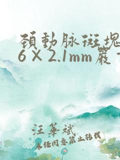 颈动脉斑块9.6×2.1mm严重吗