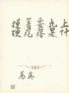 摸着睾丸上有个硬疙瘩是什么症状