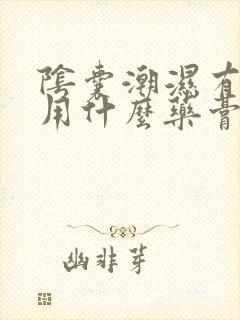 阴囊潮湿有点痒用什么药膏好