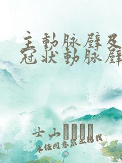 主动脉壁及左右冠状动脉壁钙化