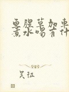 鱼腥草加车前草煮水喝有什么功效