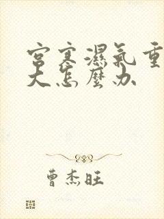 宫寒湿气重肚子大怎么办