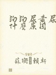 狗狗尿黄尿少是什么原因