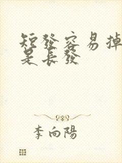 短发容易掉发还是长发